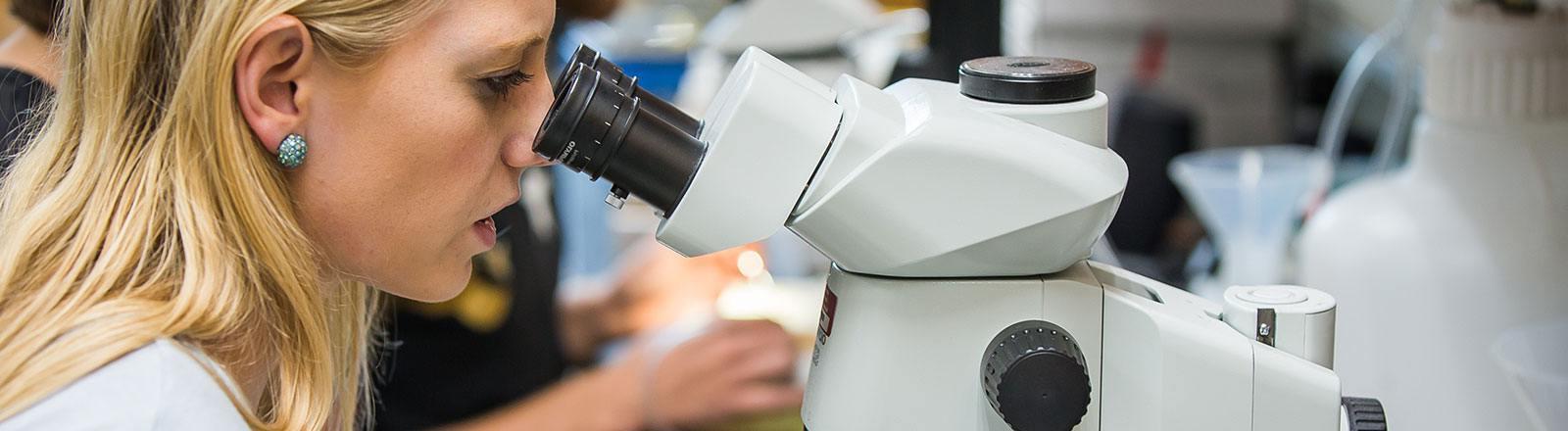 学生透过显微镜观察